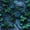 Color 2, variant on Peel and Stick Wallpaper Ivy Vines Rustic Vintage Blue Stone Wall Vibrant Forest Nature Wall Mural 17.7in x 9.8ft Self Adhesive Removable Wall Paper for Nursery Bedroom Cabinets