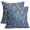 Blue, variant on Sage Green Floral Pillow Covers 20x20 Set of 2 Botanical Print Vintage Spring Flower Plant Cream Decorative Throw Pillow Cases Outdoor Farmhouse Cushion Covers Decor for Sofa Couch Bed