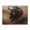 500 Pieces, variant on 500-Piece Wooden Jigsaw Puzzle for Adults & Families - Charging Bull Dust Horns Desert , Fun & Educational Brain-Teasing Game, Artistic Home Decor