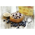 thumbnail image 2 of Trailtopia Blueberry Oatmeal: Delicious and Nutritious Trail Meals, 2 of 2