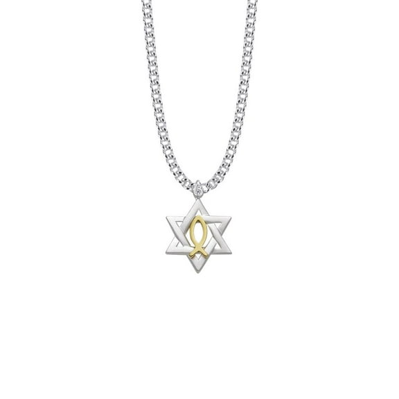Singer 1 Inch Sterling Silver Two-Tone Star of David with Fish Symbol Necklace