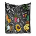 thumbnail image 1 of Fruit Soft Flannel Fleece Blanket, Hand Drawn Mango Dragon Fruit Papaya Coconut and Pineapple Sketch Tropical Blackboard, Cozy Plush for Indoor and Outdoor Use, 60" x 80", Multicolor, by Ambesonne, 1 of 6