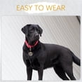 thumbnail image 2 of LEEYNEER Round Pet Id Tag Pet Supply Identification Copper 1Set, 2 of 8