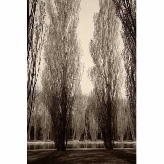 "Tree Pair" Painting Print on Wrapped Canvas