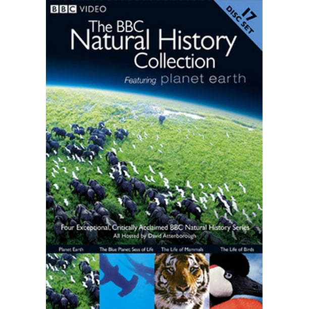 virksomhed voksenalderen coping The BBC Natural History Collection featuring Planet Earth (DVD) -  Walmart.com