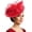 Z20-RD2, variant on FUZHIQ Mesh Flower Feather Derby Fascinator Hat, Wide Brim Tea Party Headwear for Women, Wedding & Stage Show Fashion Accessory