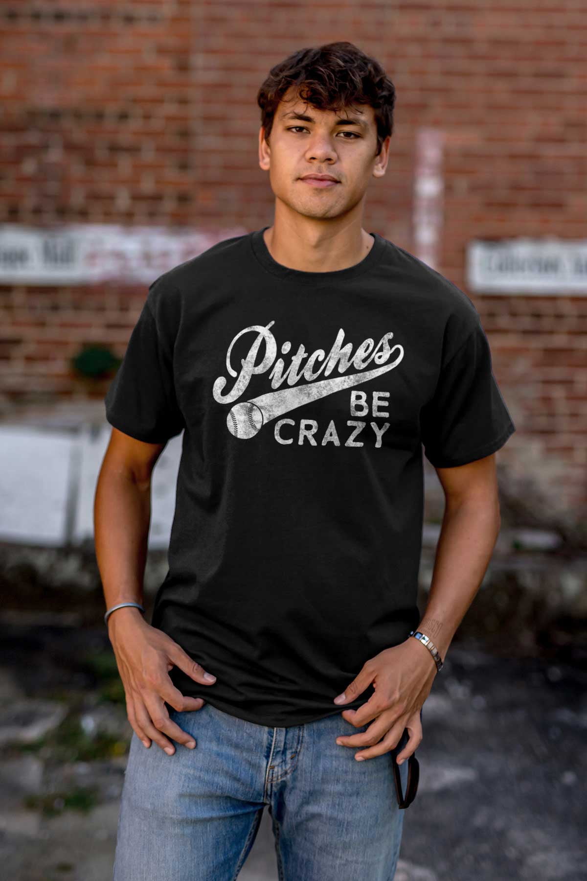 Funny Pitches Be Crazy Baseball Joke Plus Size Crewneck Graphic Tee Shirt Brisco Brands 2X