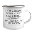 thumbnail image 2 of Aerospace Engineer's Hot Valentine's Day Camping Mug Gift, Funny Quote from an Aerospace Engineer, Unique Gift for Men, Women, Friends, Coworkers, Family, 2 of 4