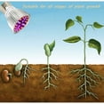 thumbnail image 2 of Paquete de 4 bombillas LED E27 de 10 W de espectro completo, luz de cultivo para plantas de interior, invernadero hidropónico orgánico A+, 2 of 5