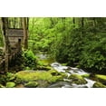 thumbnail image 2 of Flaherty, Dennis 18x13 White Modern Wood Framed Museum Art Print Titled - TN The Tub Mill along the Roaring Fork creek, 2 of 4