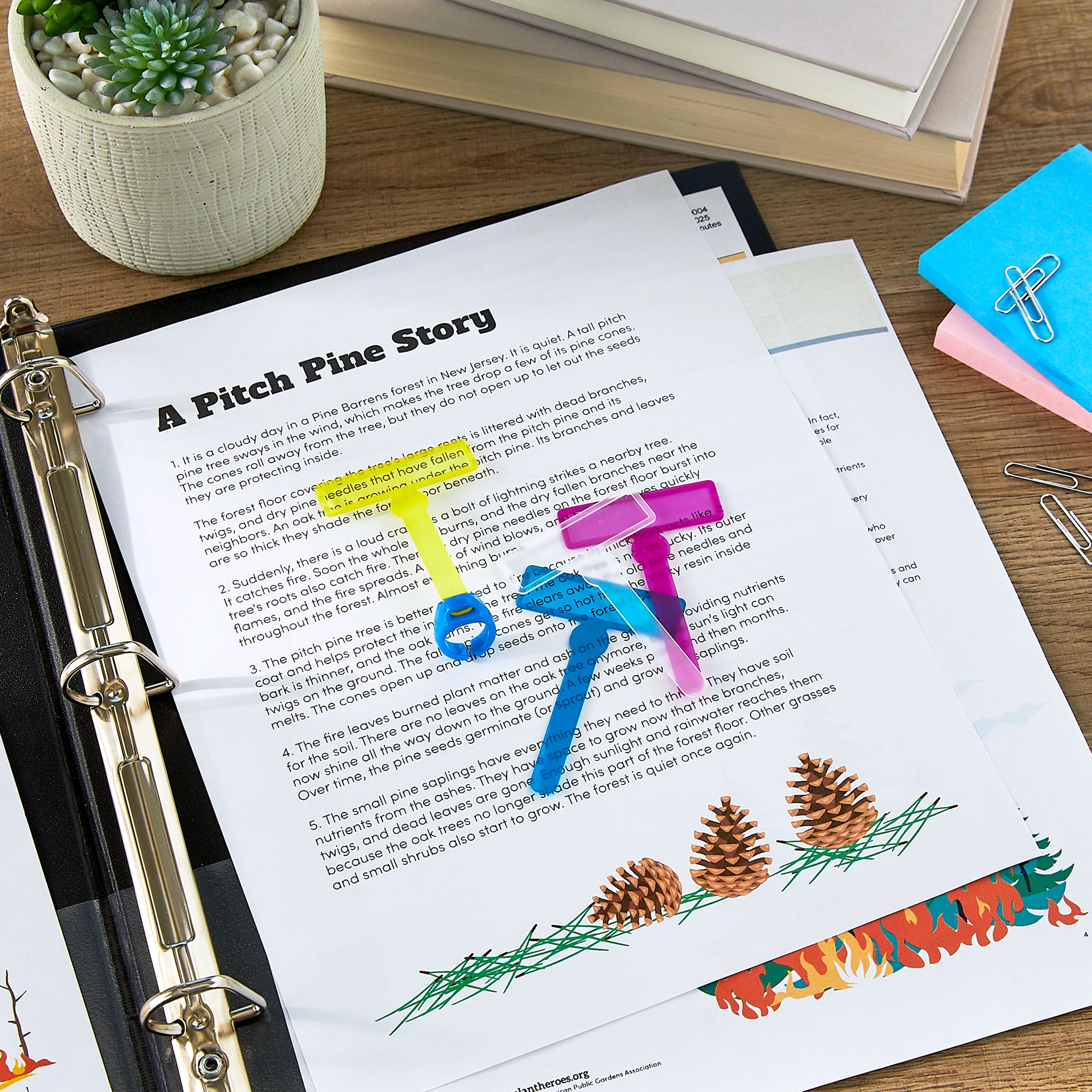 Pen+Gear Finger Reading Highlighter Adaptive Set - 5 Pieces with Interchangeable Wands and Ring