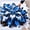 D, variant on Midnight Blue Hostas for Planting-(Non-Artificial)-Easy to Grow & Quick Sprouting