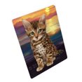 thumbnail image 1 of Bengal Cat Blanket BLNKT92226, 1 of 3