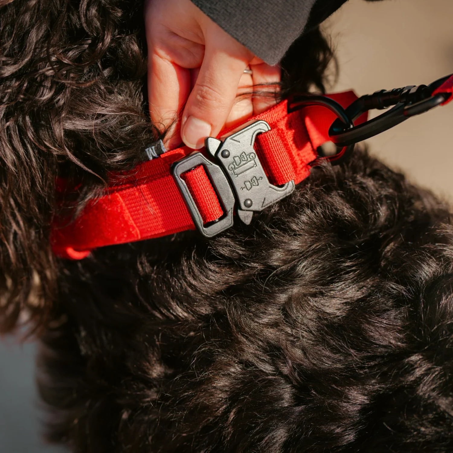 Wolfpak Tactical Nylon Dog Collar Elite Red