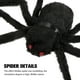 thumbnail image 5 of Pequeña araña de peluche de Halloween, juguete realista de araña de peluche, decoración aterradora para fiesta de Halloween, casa embrujada, decoración de patio interior y exterior, 5 of 6