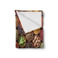 thumbnail image 2 of Retro Soft Flannel Fleece Throw Blanket, Colorful Herbs and Spices Cardamom Pepper Chili Ginger Dill Natural Cuisine Print, Cozy Plush for Indoor and Outdoor Use, 50" x 70", Multicolor, by Ambesonne, 2 of 5