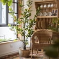 thumbnail image 2 of Artificial Lemon Tree, 2 of 12