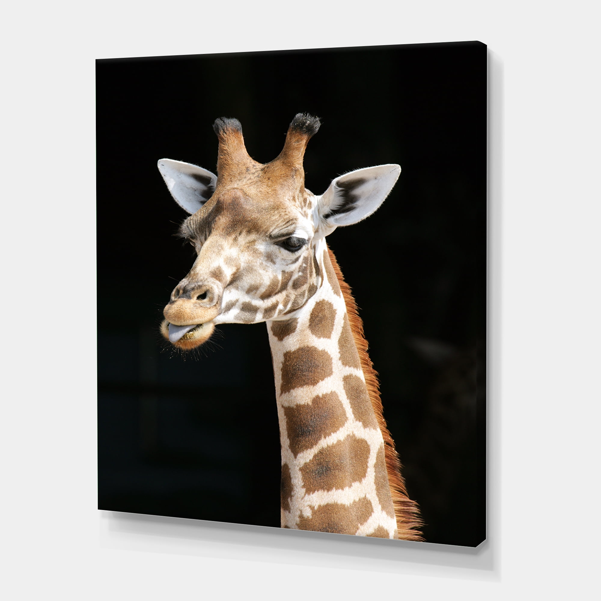 Designart ' Close Up Portrait Of A Giraffe On Black III ' Farmhouse Canvas Wall Art Print