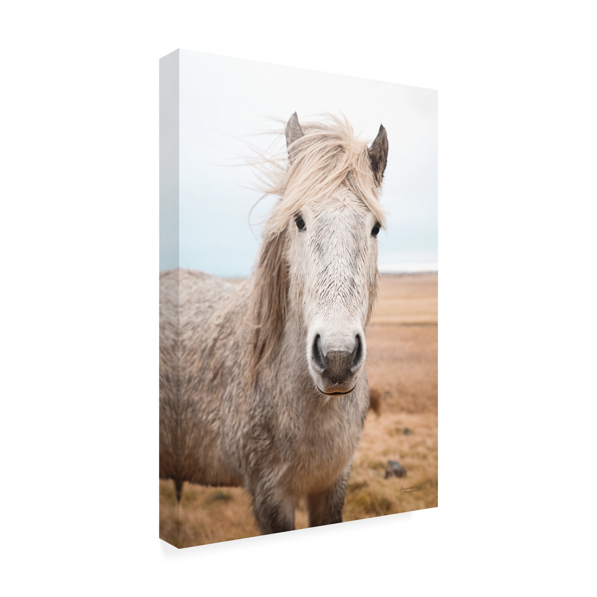 Trademark Fine Art 'Heida I' Canvas Art by Laura Marshall