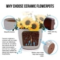 thumbnail image 3 of S-HOME Set of 3  Antique White Ceramic Planters, 15" 12" 9" Modern Flower Pots for Indoor/Outdoor, 3 of 11
