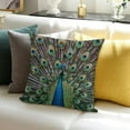 thumbnail image 3 of BANET Throw Pillow Cushion Cover, of with Huge Grand Feathers Enchanted Plumage Image, Decorative Square Accent Pillow Case 24x24in, 3 of 5