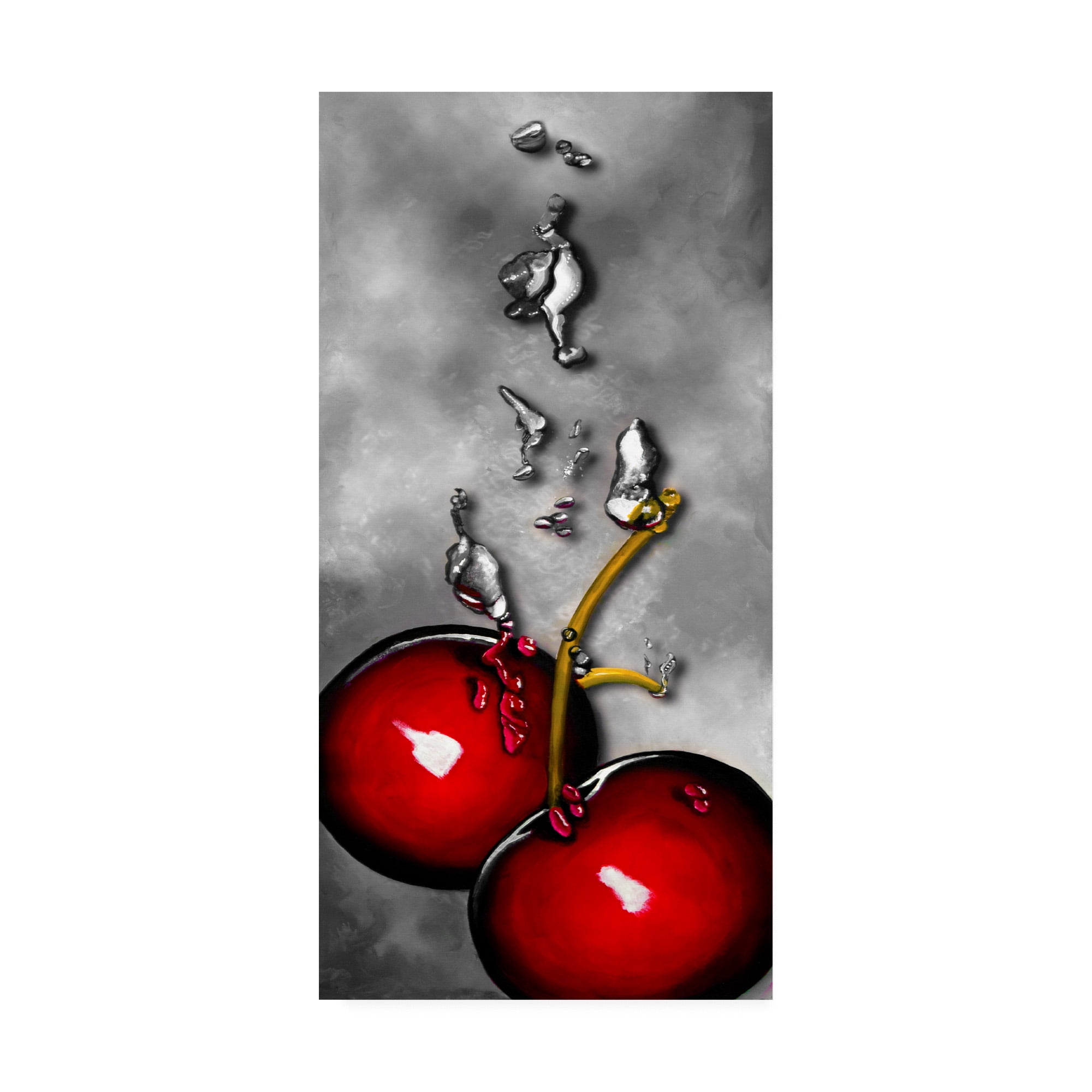 Trademark Fine Art 'Cherry Splash over Marble' Canvas Art by Roderick Stevens