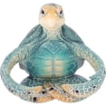 thumbnail image 3 of Nautical Salt Pepper Shaker Holder Set Glass Salt and Pepper Shakers Spices and Seasonings Caddy Set Kitchen Dining Table Decor (Blue Sea Turtle), 3 of 8
