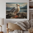 thumbnail image 2 of Designart "Seagull Portrait Perched on a Rock" Animals Print on Natural Pine Wood, 2 of 5