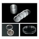 thumbnail image 4 of Kearding 100 pack/lote solución práctica de almacenamiento de monedas caja de monedas transparente y práctica, 4 of 6