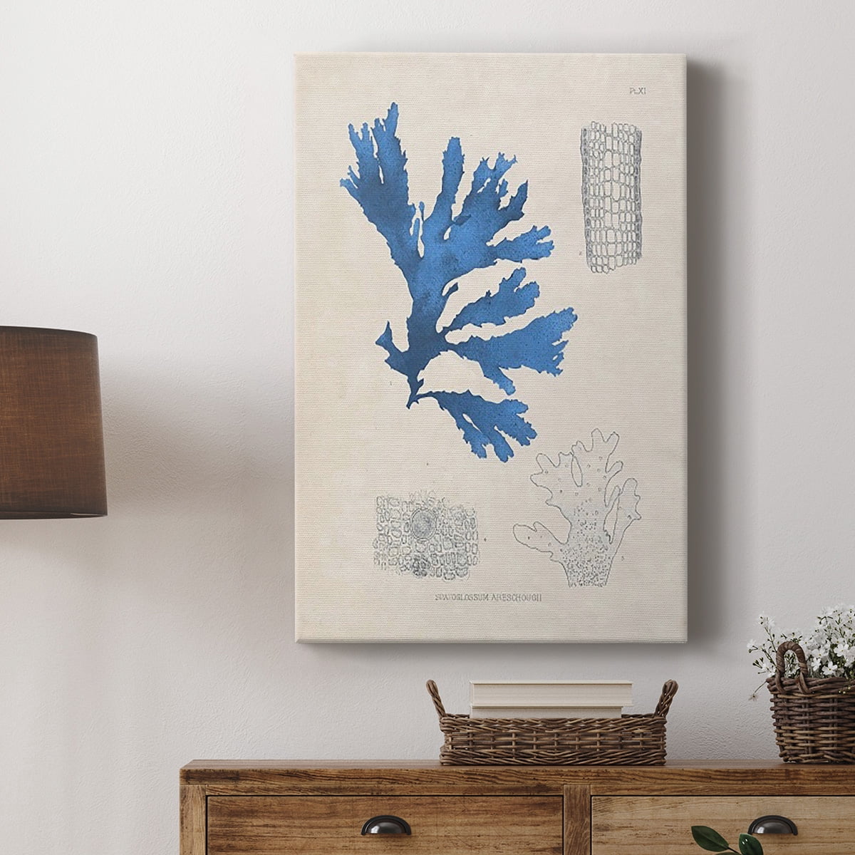Blue Marine Algae VIII Premium Gallery Wrapped Canvas - Ready to Hang