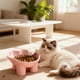 thumbnail image 1 of Herunwer Elevated Cat Bowls 15°Raised Cat Food Bowl with Silicone Mat Whisker Friendly Anti Vomiting Cats Dishes Pet Food and Water Bowls, 1 of 6