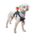 thumbnail image 3 of Arnés Perro Dog Harness Compatible GoPro Cámaras Deportivas PULUZ AR-PR-01, 3 of 5