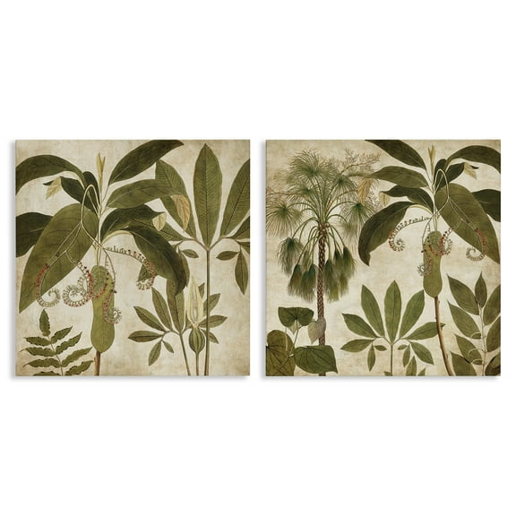Stupell Industries Vintage Botanical Tropics Plants & Flowers Painting Wrapped Canvas Art Print Wall Art, 17 x 17, Set of 2