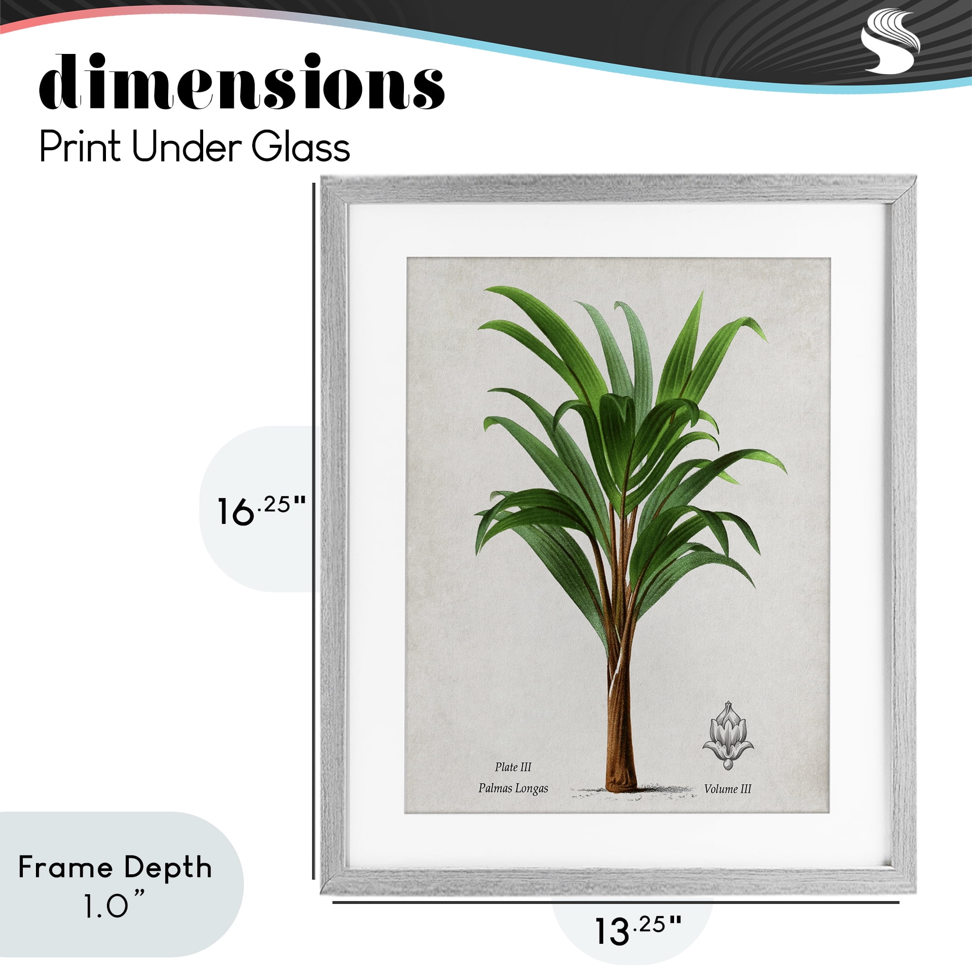 Stupell Industries Palmas Longas Palm Tree Gray Framed Print Under Glass, design by Val Rhodes