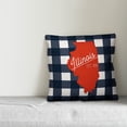 thumbnail image 3 of Creative Products Illinois Buffalo Check 18x18 Spun Poly Pillow, 3 of 3