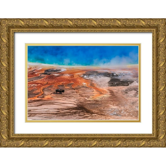 Meier, Tom 24x17 Gold Ornate Wood Framed with Double Matting Museum Art Print Titled - Bison