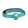 thumbnail image 6 of 8 pc Puppy ID Collar Kits for Dogs Litter Whelping Breeder Vet Shelter Rescue (Large - 1 Set - 8 Collars), 6 of 9