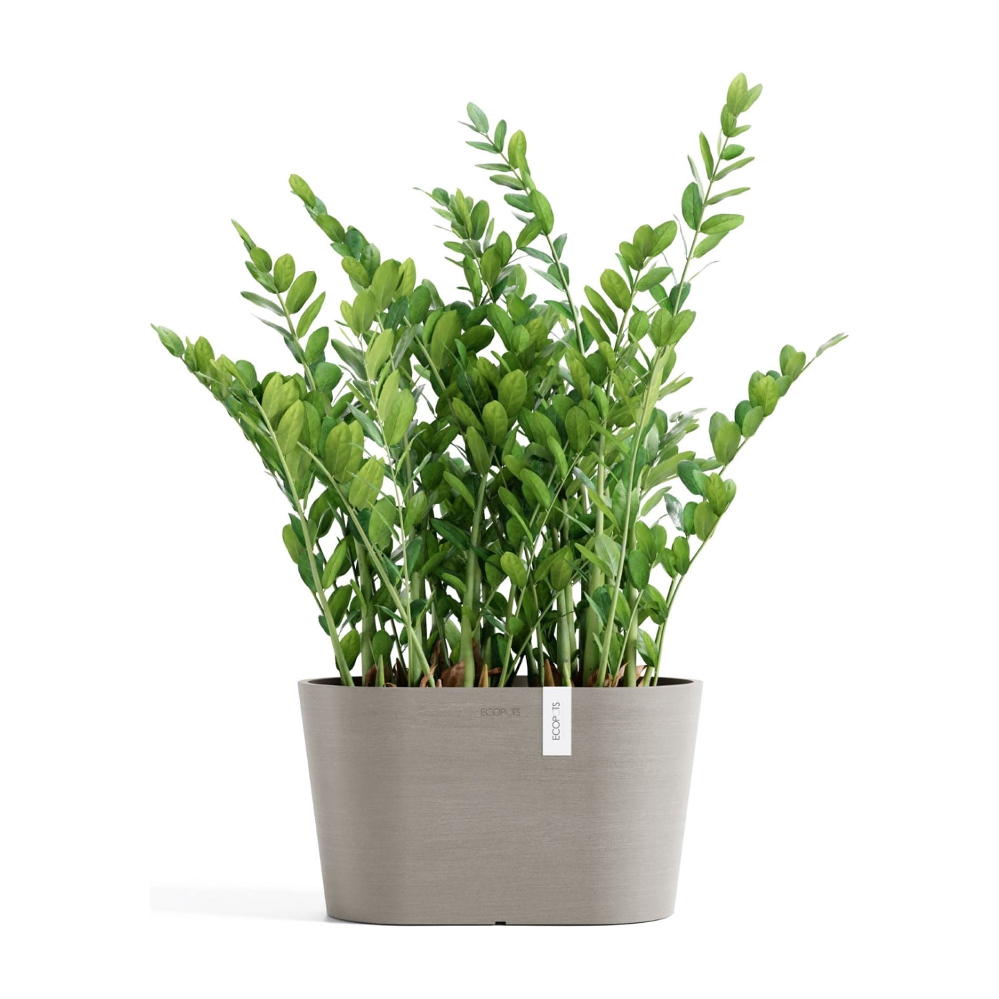 Ecopots Sofia Durable Modern Oval Indoor/Outdoor Recycled Based Composite Flower Pot Planter w/ Water Reservoir, Taupe, 12"