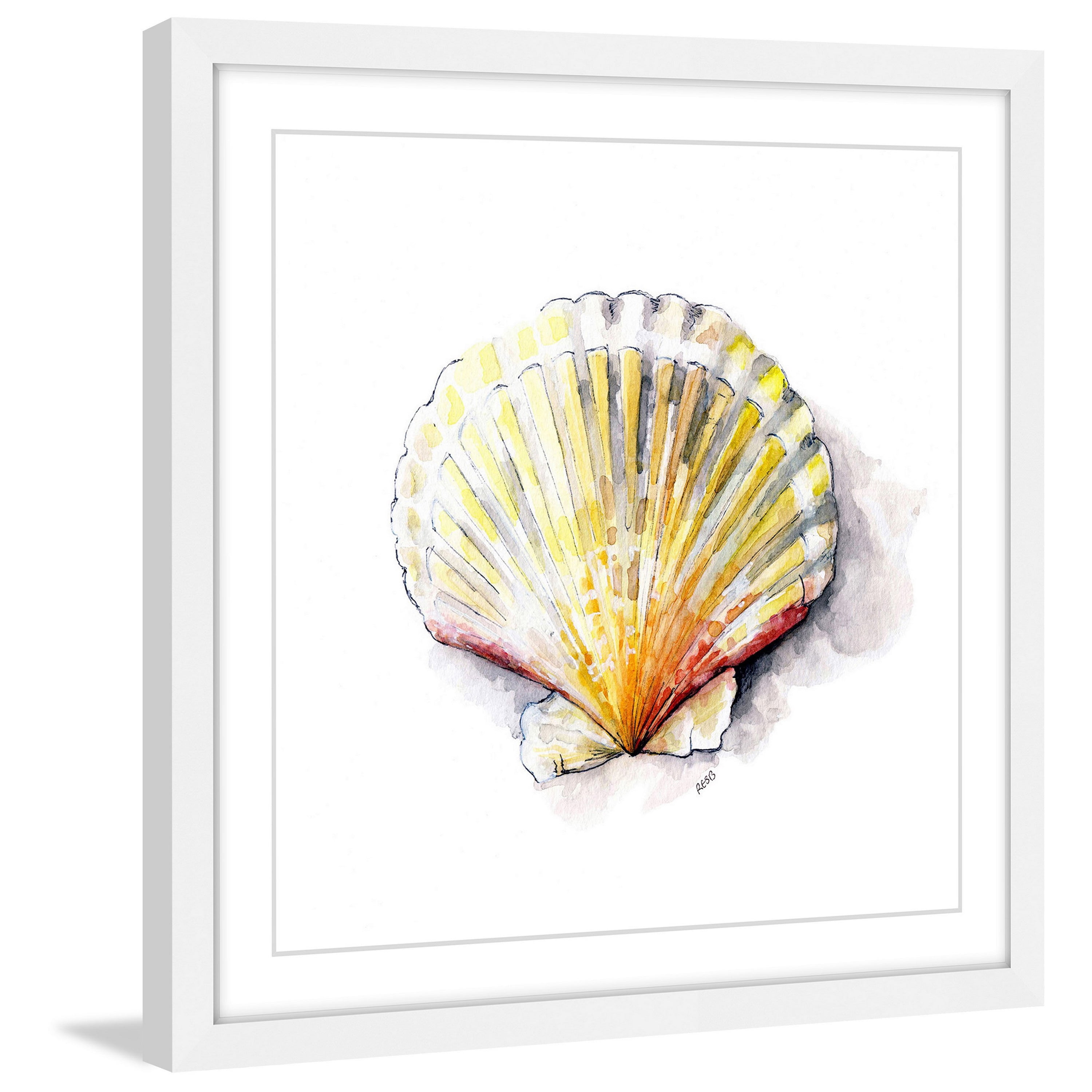 Marmont Hill "Sea Scallop" by Rachel Byler Framed Painting Print