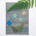 thumbnail image 3 of OUSITAID Sun Print Paper Kit Cyanotype Paper A5 Solar Drawing Paper Sensitivity Sun Print Nature Printing Paper for DIY Arts Crafts Projects, 3 of 11