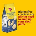 thumbnail image 3 of Schar Gluten Free Entertainment Crackers Salty -- 6.2 oz Pack of 4, 3 of 3
