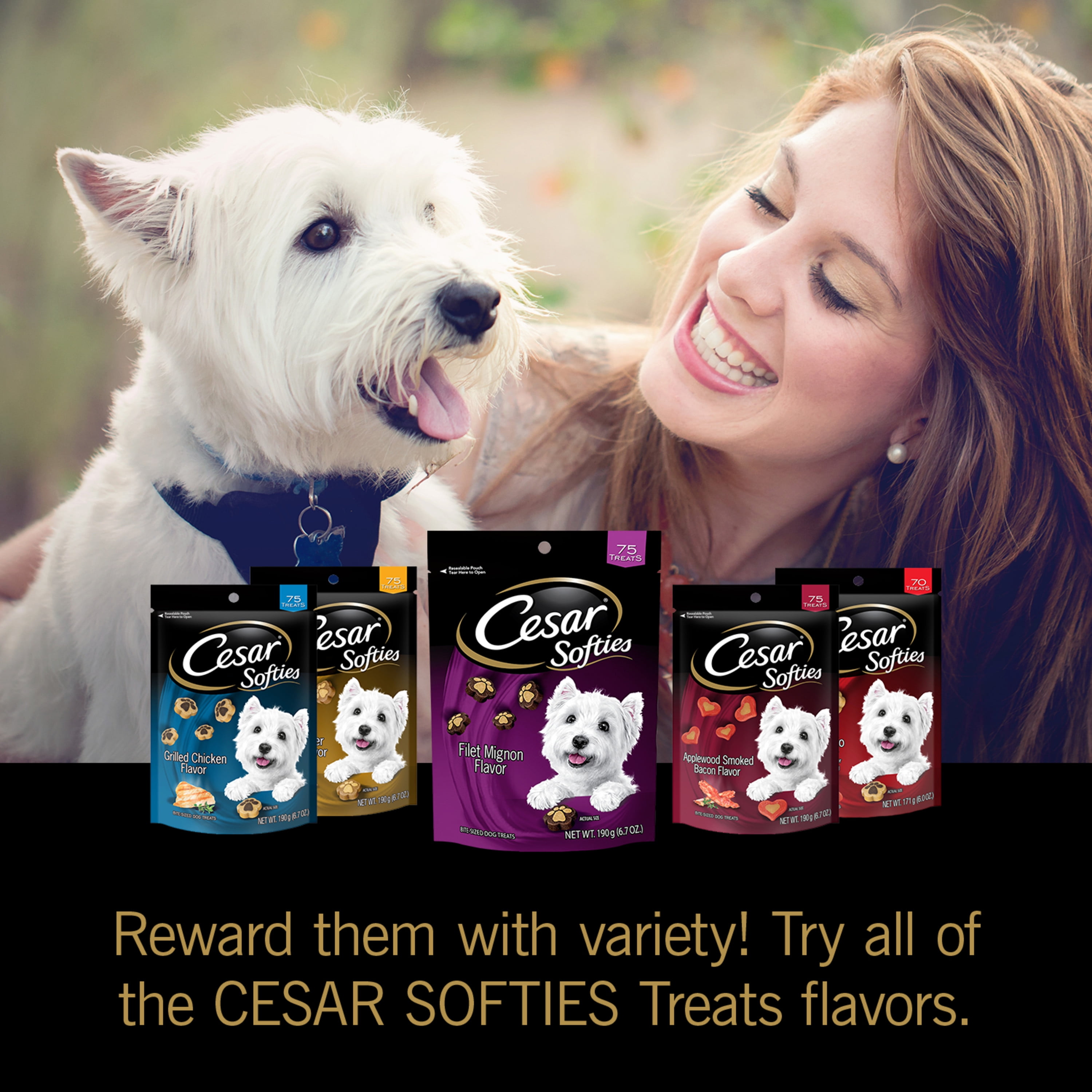 Cesar Softies Filet Mignon Dog Treats 2025