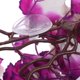 thumbnail image 3 of Planta de simulación Ratán realista Planta de agua artificial Acuario Adorno de ratán Planta de pecera Paisaje Planta falsa para oficina en el hogar Tienda Bar (Púrpura), 3 of 7