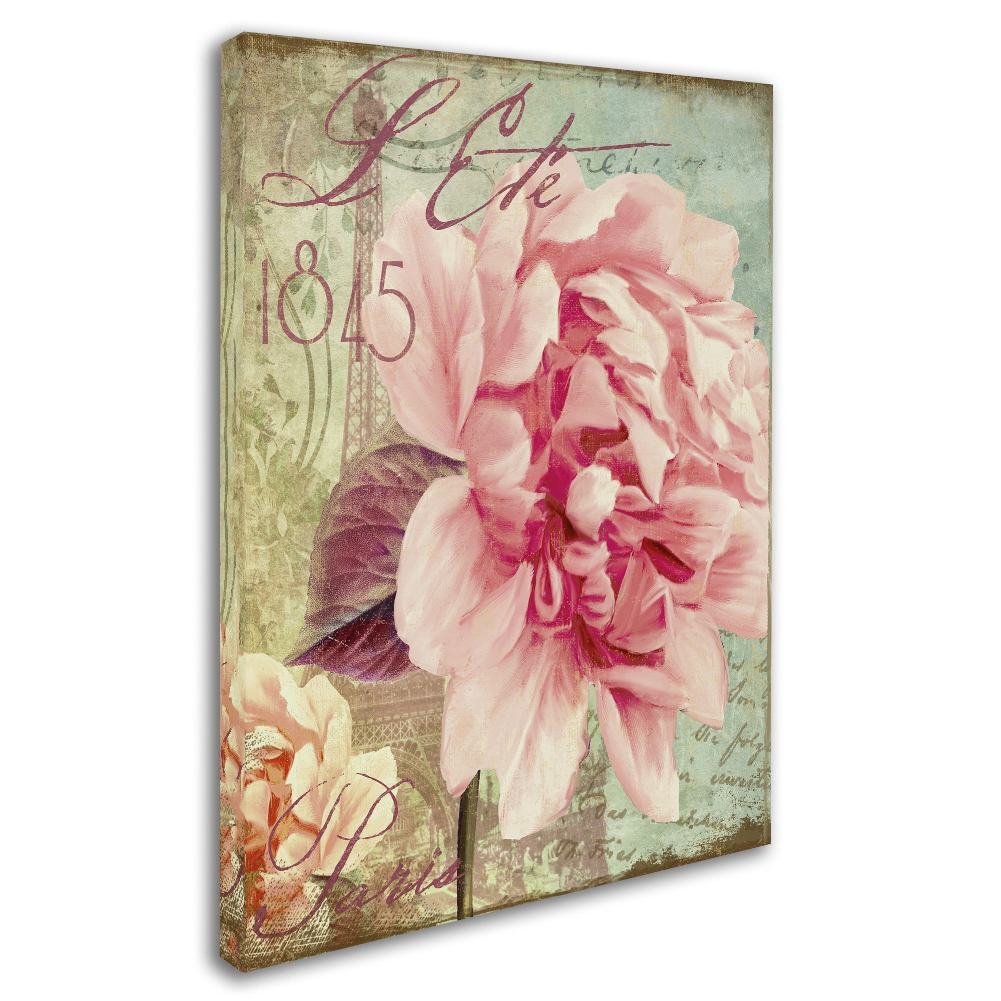 Trademark Fine Art "Saisons III" Canvas Art by Color Bakery