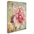 thumbnail image 3 of Trademark Fine Art "Saisons III" Canvas Art by Color Bakery, 3 of 4