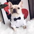 thumbnail image 5 of Pet Suit Bowtie Short Sleeve Cat Outfit Dog Wedding Suit Formal Shirt for Small Dogs, 5 of 8