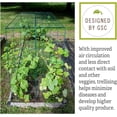 thumbnail image 5 of Gardener's Supply Company Over The Top Cucumber & Squash Trellis | Powder-Coated Steel Weather-Proof Trellis Plant Support for Climbing Plants, Vegetables and Flowers - Green, 5 of 7