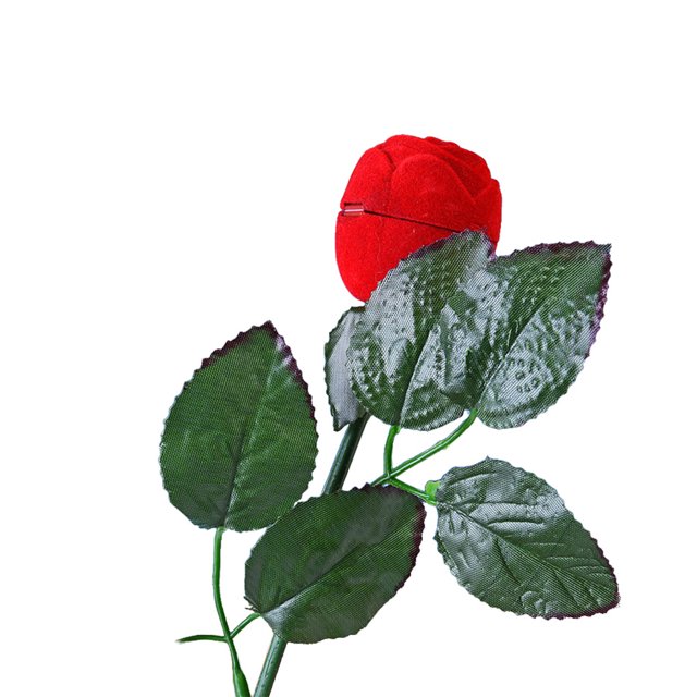 Baohd Coral Velvet Elegant And Romantic ulation Flower With Leaves Gift Box For Loved Ones Unique