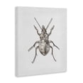 thumbnail image 2 of Stupell Industries Contemporary Textured Beetle Minimal Off-White Canvas Art, 16 x 20, by Ziwei Li, 2 of 7
