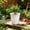 White378, variant on Tuvgenk Black Root Control Orchid Pot Transparent Ventilated Design Water Reservoir Container Sturdy Plastic Vase For Indoor Home Window Scene Decoration